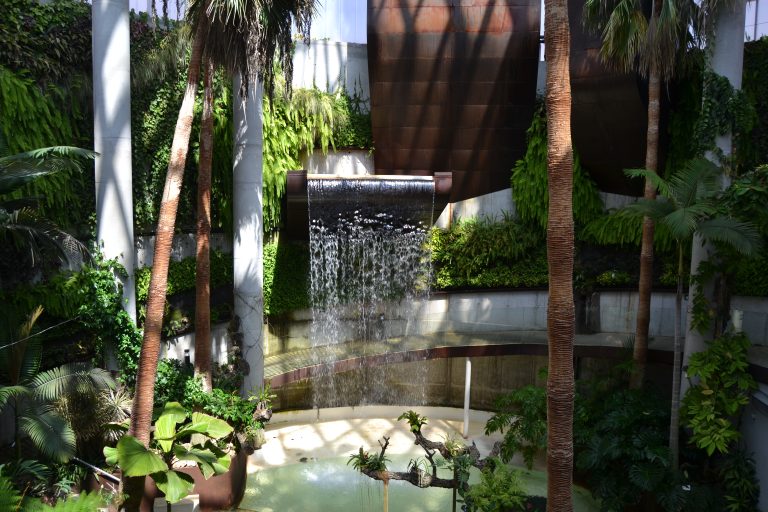 Orchidarium de Estepona 33596749252