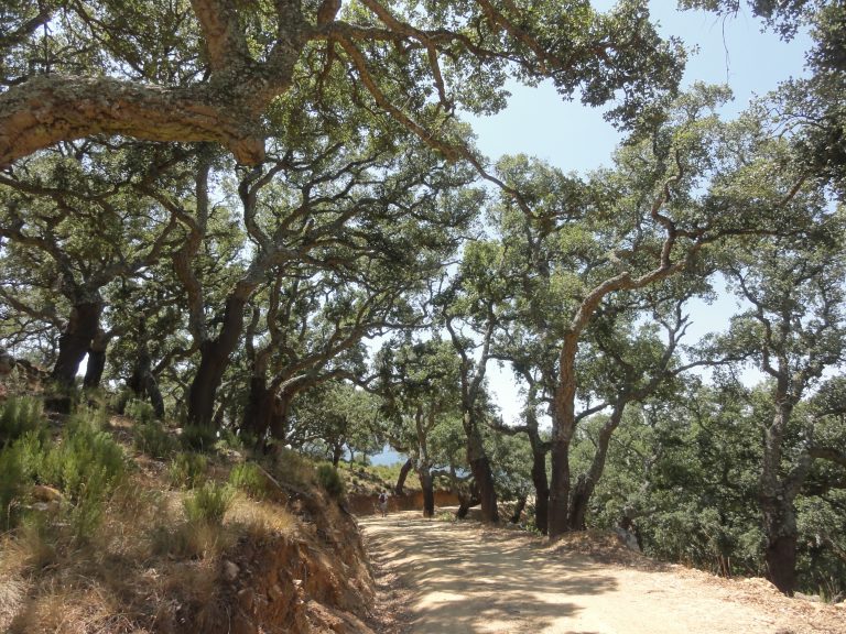 Natural routes